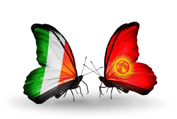 Vlinders met Ierland en kirghiz vlaggen op vleugels — Stockfoto