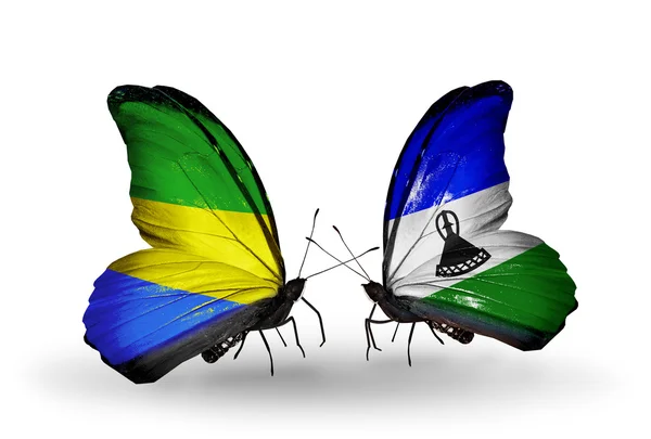 Sommerfugler med Gabon og Lesotho-flagg på vinger – stockfoto