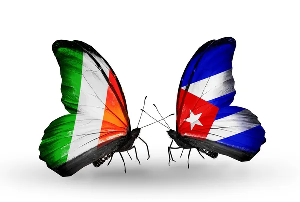Motyle z Irlandii i Kuba flagi na skrzydłach — Zdjęcie stockowe