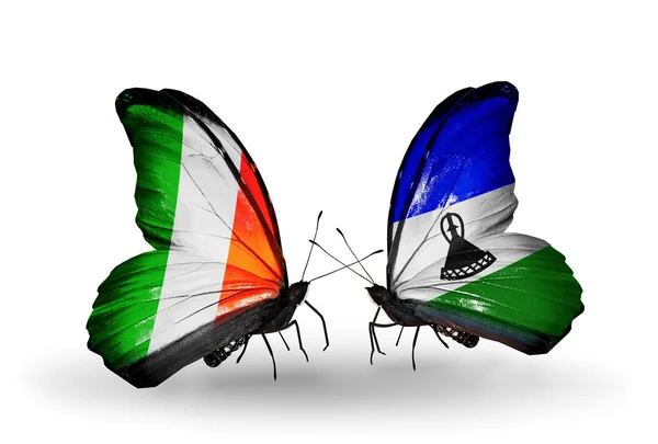 Vlinders met Ierland en lesotho vlaggen op vleugels — Stockfoto