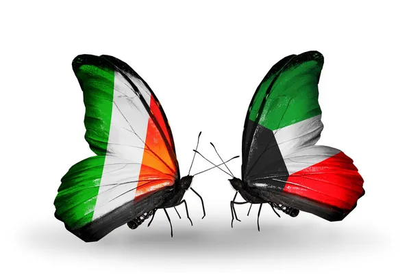 Mariposas con banderas de Irlanda y Kuwait en alas — Foto de Stock