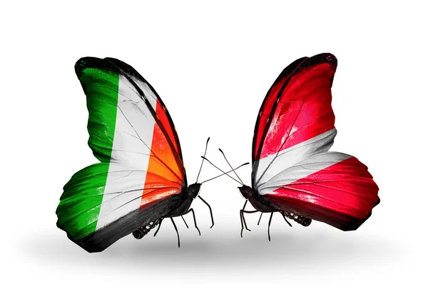 Butterflies with Ireland and  Latvia flags on wings — Stock Photo, Image