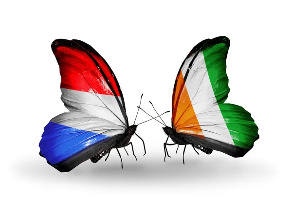 Farfalle con le bandiere del Lussemburgo e della Costa Divina sulle ali — Foto Stock