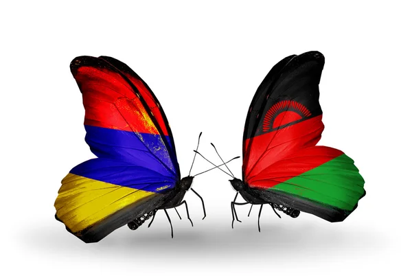 Butterflies with Armenia and  Malawi flags on wings — Stock Photo, Image