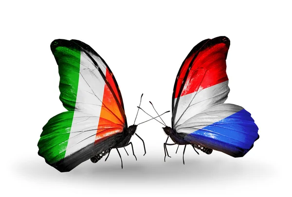 Kelebekler kanat üzerine İngiltere ve Lüksemburg bayraklı — Stok fotoğraf