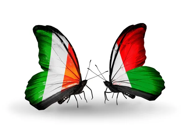 Papillons avec drapeaux d'Irlande et de Madagascar sur les ailes — Photo