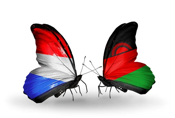 Papillons avec drapeaux Luxembourg et Malawi sur les ailes — Photo