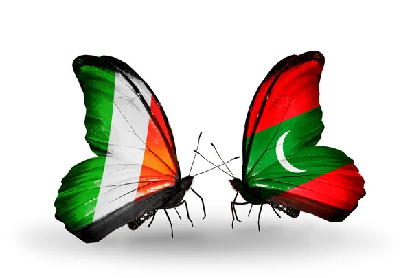 Motýli s Irskem a Maledivy vlajky na křídlech — Stock fotografie
