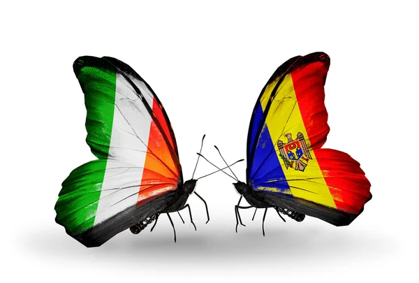 Kelebek kanatları üzerinde İrlanda ve moldova bayrağı ile — Stok fotoğraf