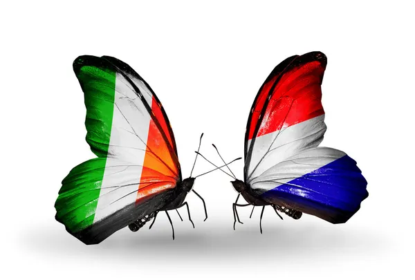 Farfalle con bandiere Irlanda e Olanda sulle ali — Foto Stock
