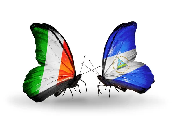 Kelebek kanatları üzerinde İrlanda ve Nikaragua bayrağı ile — Stok fotoğraf