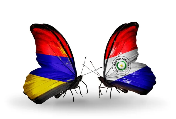 Kelebekler kanat paraguay ve Ermenistan bayrakları ile — Stok fotoğraf