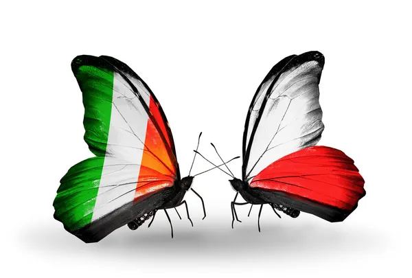 翼にアイルランドとポーランド フラグと蝶 — ストック写真