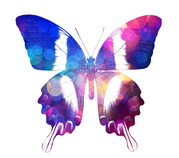 Colorful butterfly — Stock Photo, Image