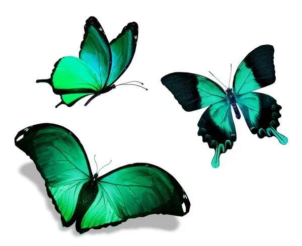 三个绿色蝴蝶 — 图库照片