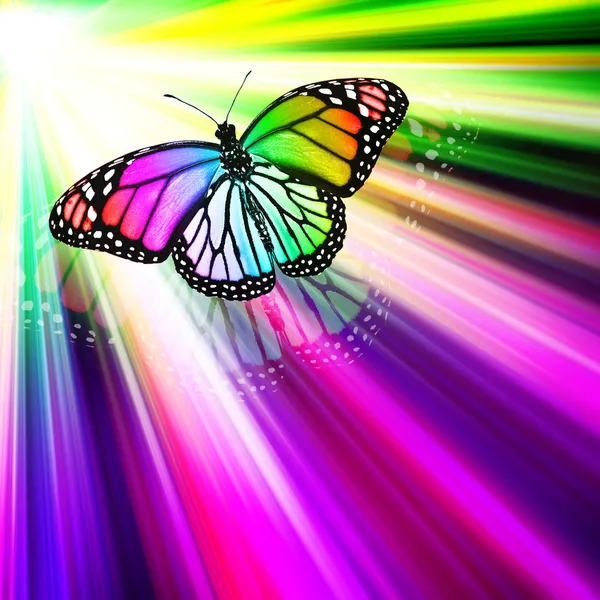 Background with butterfly — Stock Photo, Image