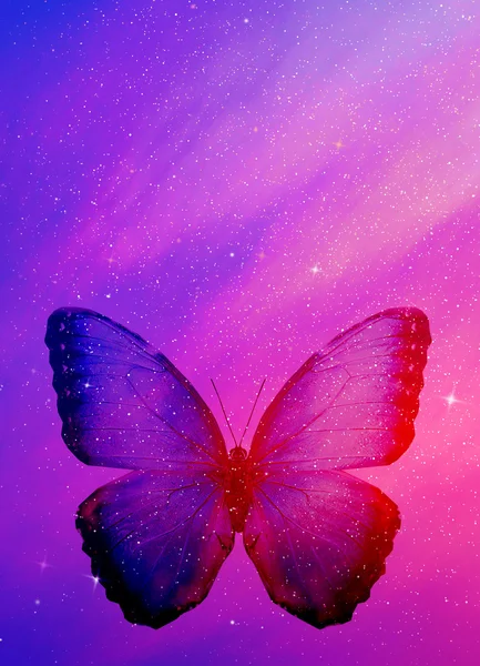 Sky with butterfly — Stock Photo, Image