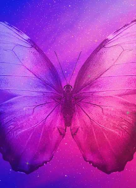 Céu com borboleta — Fotografia de Stock