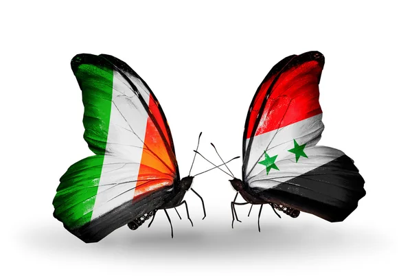 Vlinders met Ierland en Syrië vlaggen op vleugels — Stockfoto