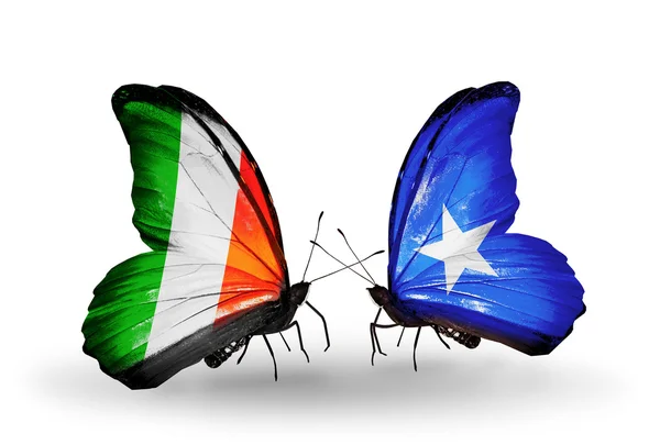 Papillons avec l'Irlande et la Somalie drapeaux sur les ailes — Photo