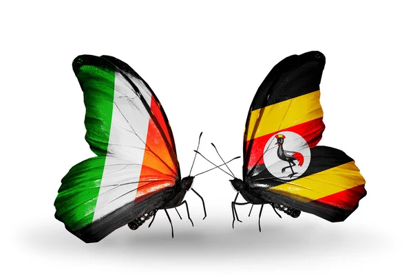 Motýli s Irskem a uganda vlajky na křídlech — Stock fotografie