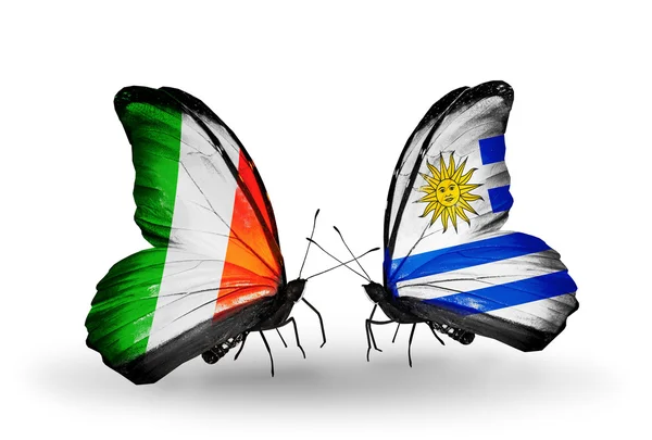 Butterflies with Ireland and  Uruguay flags on wings — Stock Photo, Image