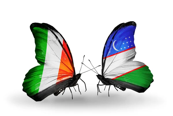 Butterflies with Ireland and  Uzbekistan flags on wings — Stock Photo, Image