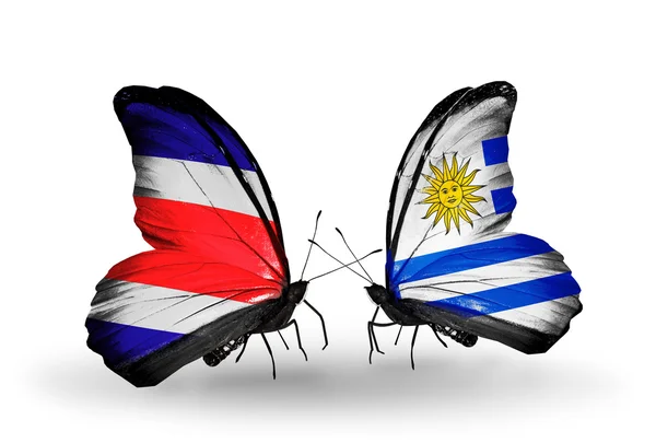 与哥斯达黎加和乌拉圭国旗上的翅膀的蝴蝶 — 图库照片