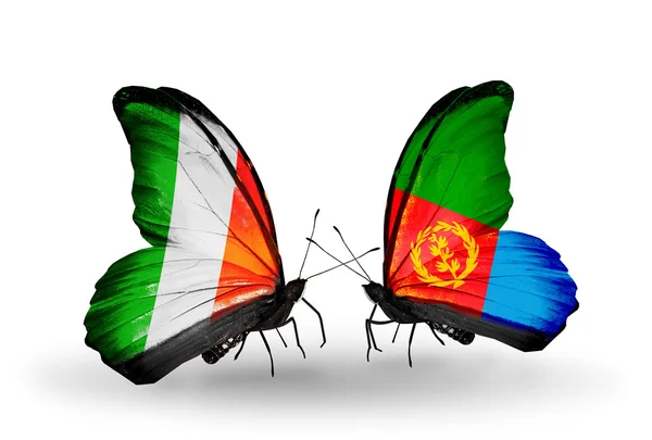 Butterflies with Ireland and  Eritrea flags on wings — Stock Photo, Image