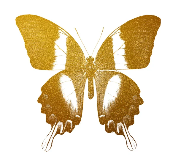 Golden butterfly — Stock Photo, Image