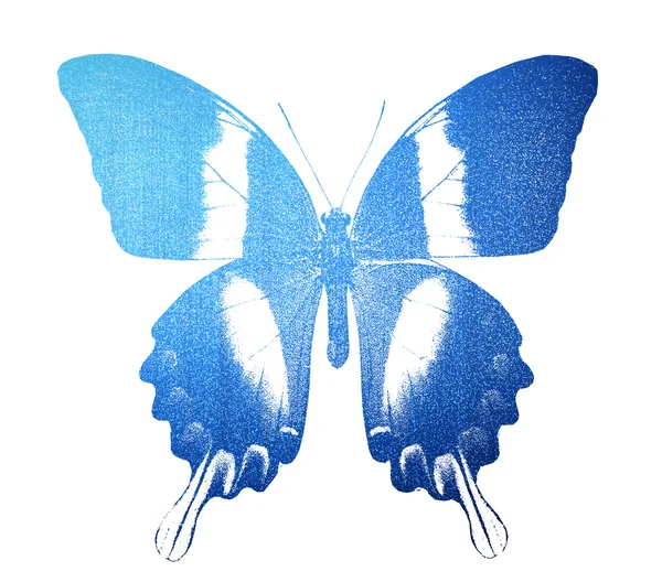 Blauer Schmetterling — Stockfoto