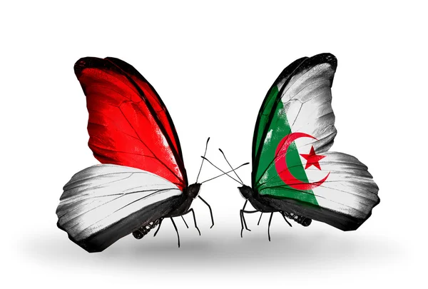 蝴蝶翅膀上的摩纳哥、 印度尼西亚和阿尔及利亚国旗 — 图库照片