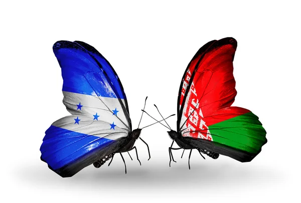 Schmetterlinge mit Honduras und weißrussischen Flaggen auf Flügeln — Stockfoto