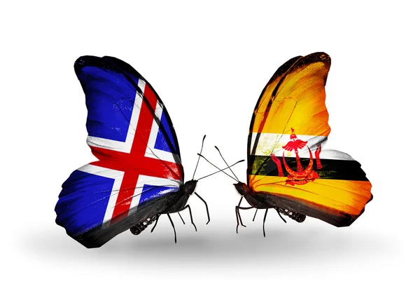 Papillons avec des drapeaux de l'Inde et Brunei sur les ailes — Photo