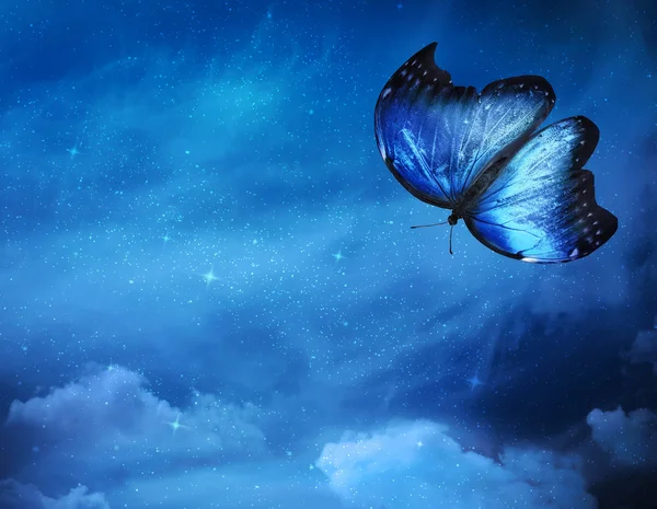 Sky with butterfly — Stock Photo, Image