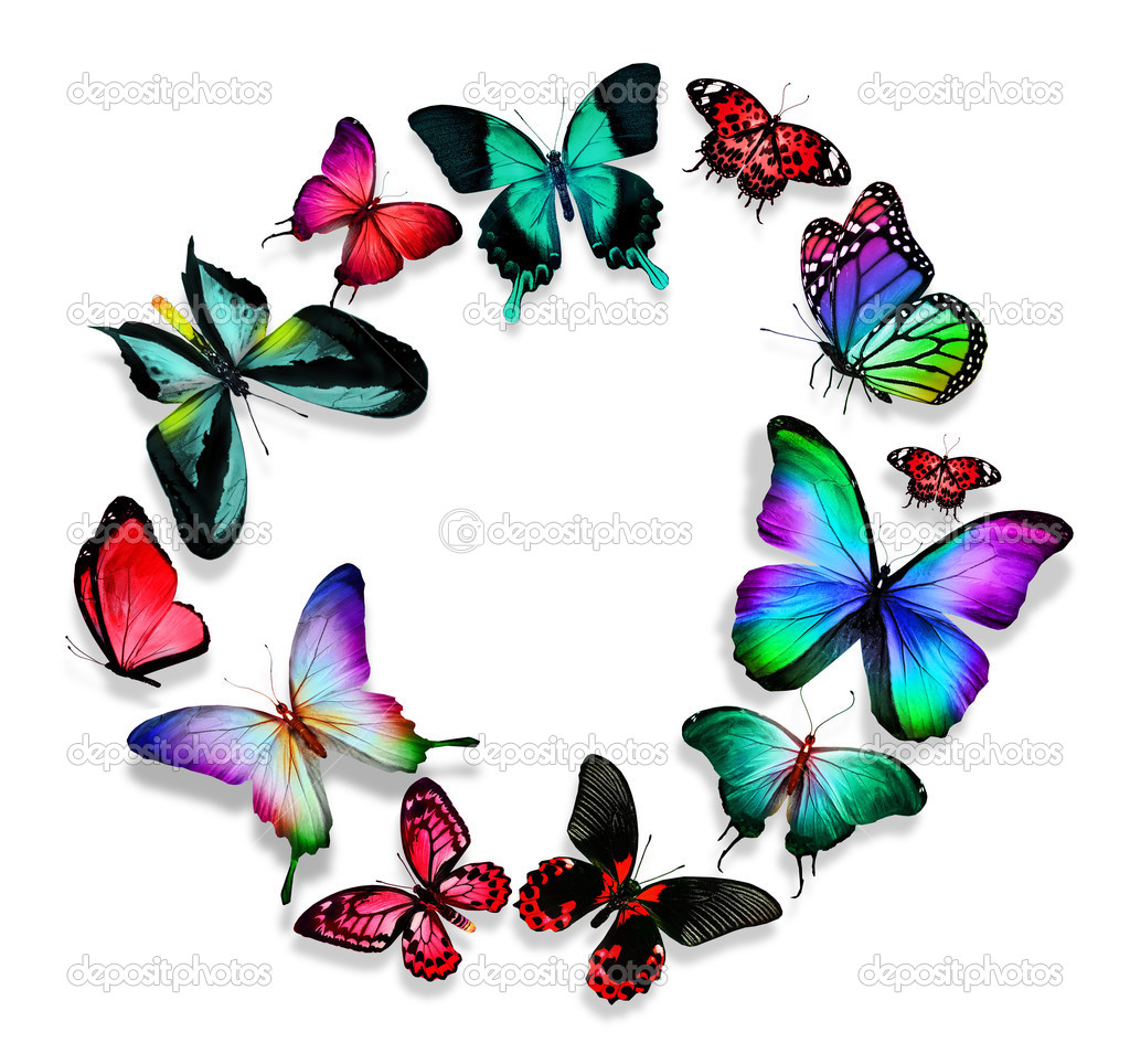 Mariposas — Foto de stock #47253949 © sun_tiger, image size:1024x964