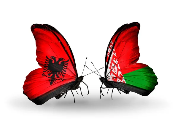 Butterflies with Albania and Belarus flags — Stock Photo, Image