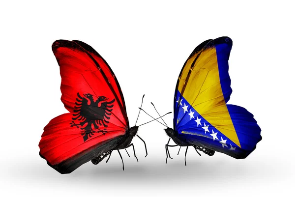 Mariposas con banderas de Albania y Bosnia y Herzegovina —  Fotos de Stock