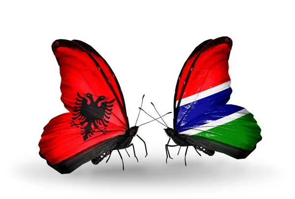 Schmetterlinge mit Albanien- und Gambia-Flaggen — Stockfoto