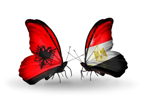 Arnavutluk ve Mısır bayrakları taşıyan kelebekler — Stok fotoğraf