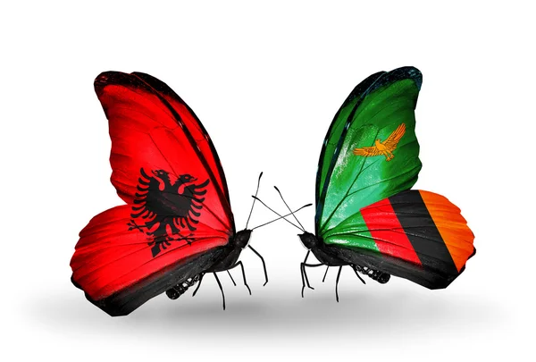 Borboletas com bandeiras da Albânia e da Zâmbia — Fotografia de Stock