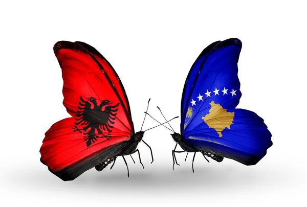 Butterflies with Albania and Kosovo flags — Stock Photo, Image