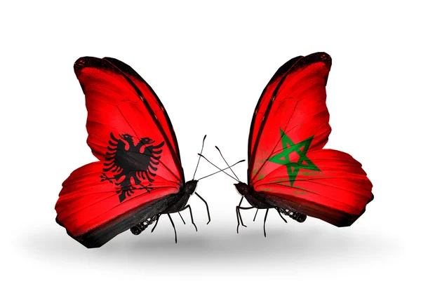 Butterflies with  Albania and Morocco flags — Stock Photo, Image