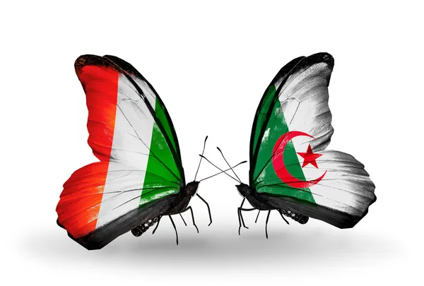 Butterflies with  Cote Divoire and Algeria flags — Stock Photo, Image