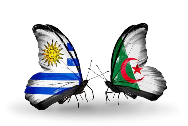 Butterflies with Uruguay and Algeria flags — Stock Photo, Image
