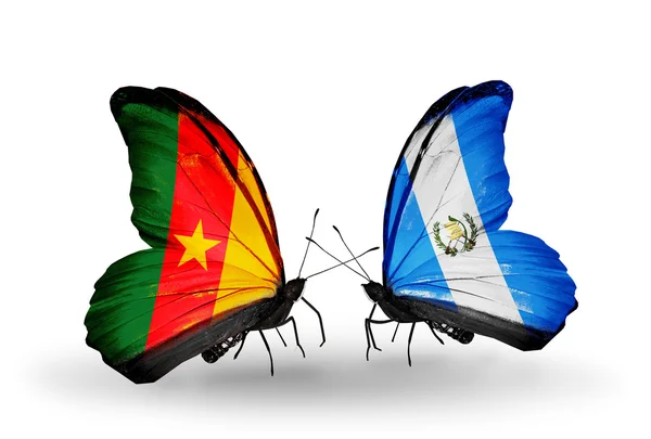Motýli s příznaky Kamerun a guatemala — Stock fotografie