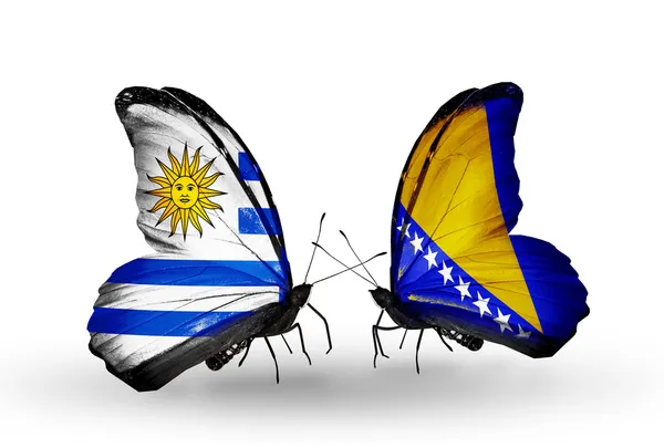 Fjärilar med uruguay och Bosnien och Hercegovina flaggor — Stockfoto