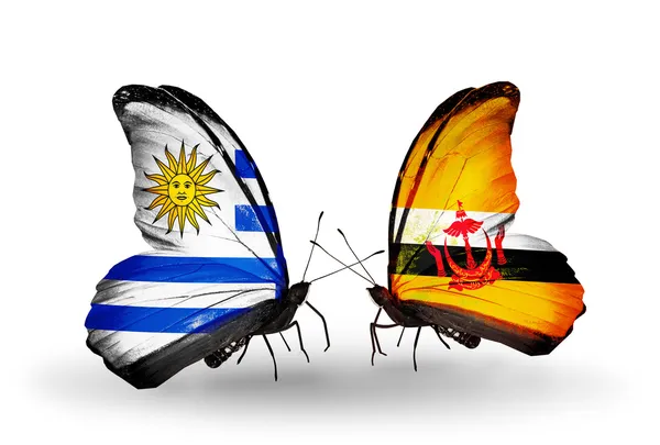 Butterflies with Uruguay and Brunei flags — Stock Photo, Image