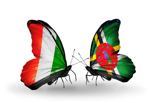 Fildişi Sahili ve Dominika bayrakları taşıyan kelebekler — Stok fotoğraf