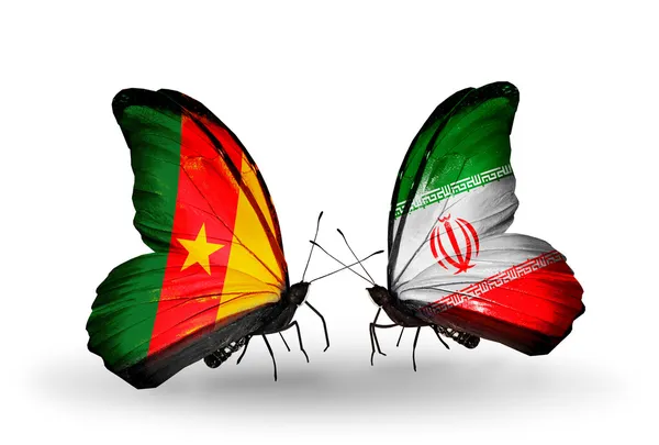 Sommerfugle hos Cameroun og Iran flag - Stock-foto